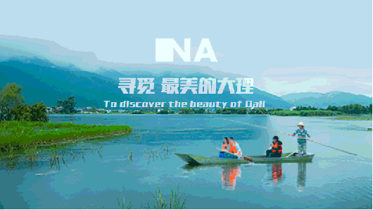 大理环洱海一日游单反畅拍秘密基地喜洲深度西湖划船马车赠送小吃