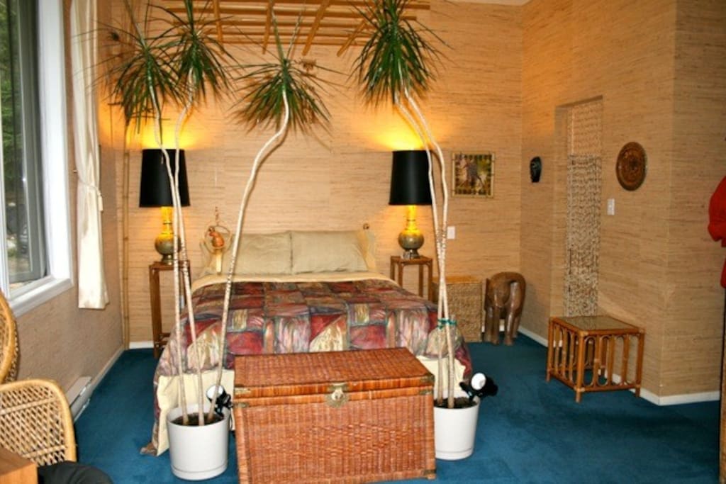 alders plantation b&b - jungle room
