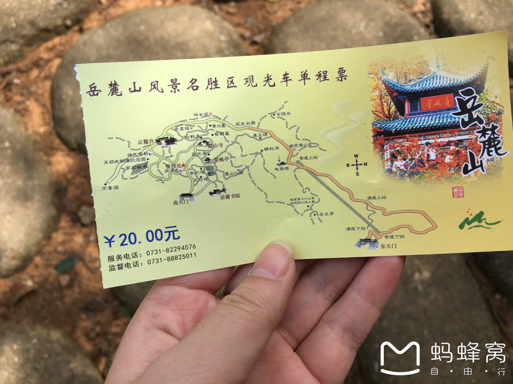 岳麓山          