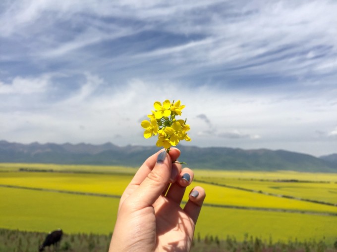 带你去旅行校长简谱