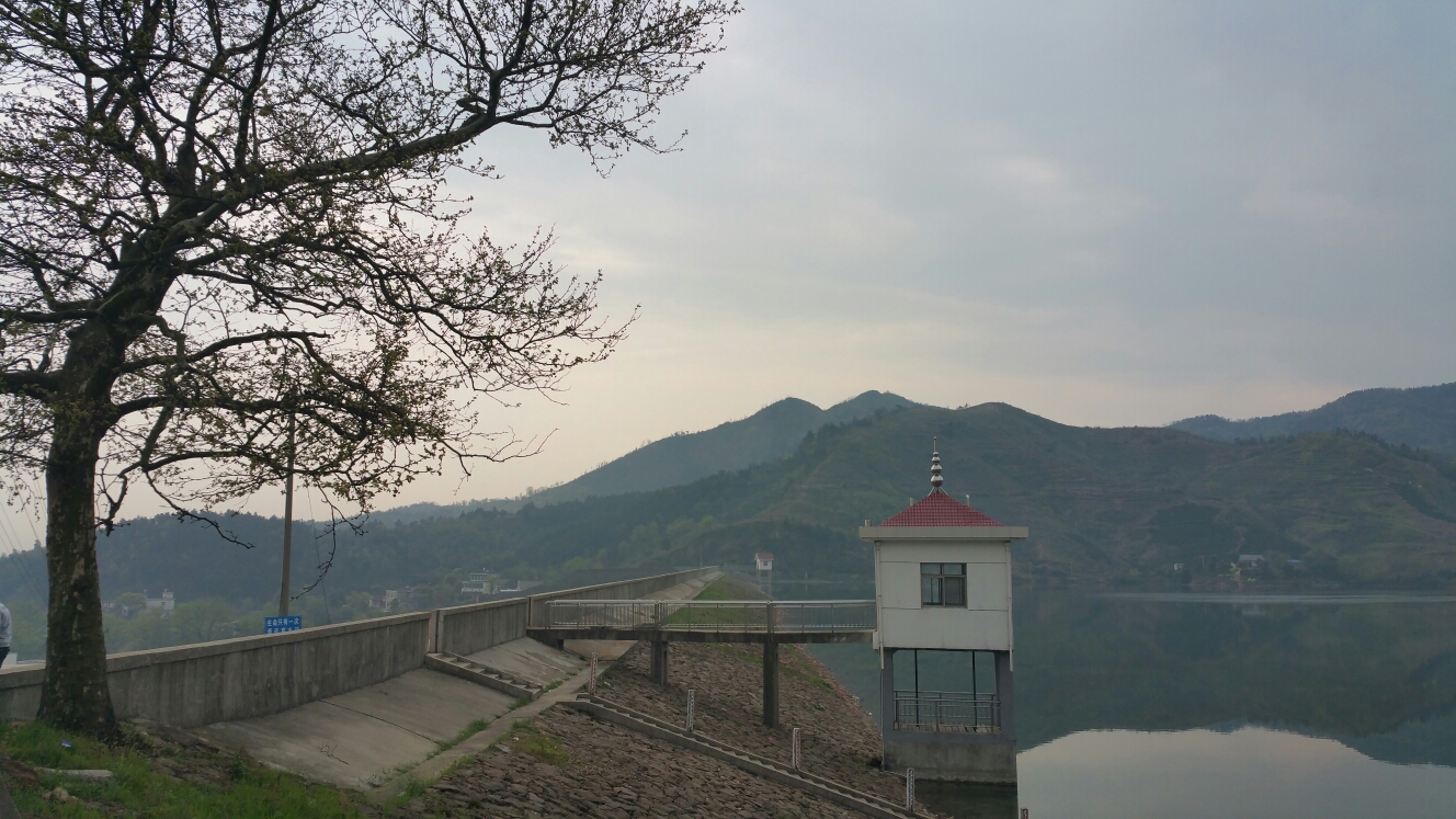 藏在深山人未识虎洞湖景好风光漫步十里长冲道清明时节在庐江