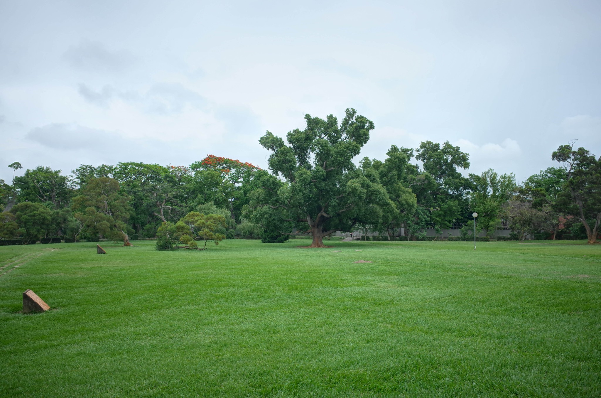 走在东海大学的草地上,看着周围的风景,校园被蓝天和绿树环绕,像一个