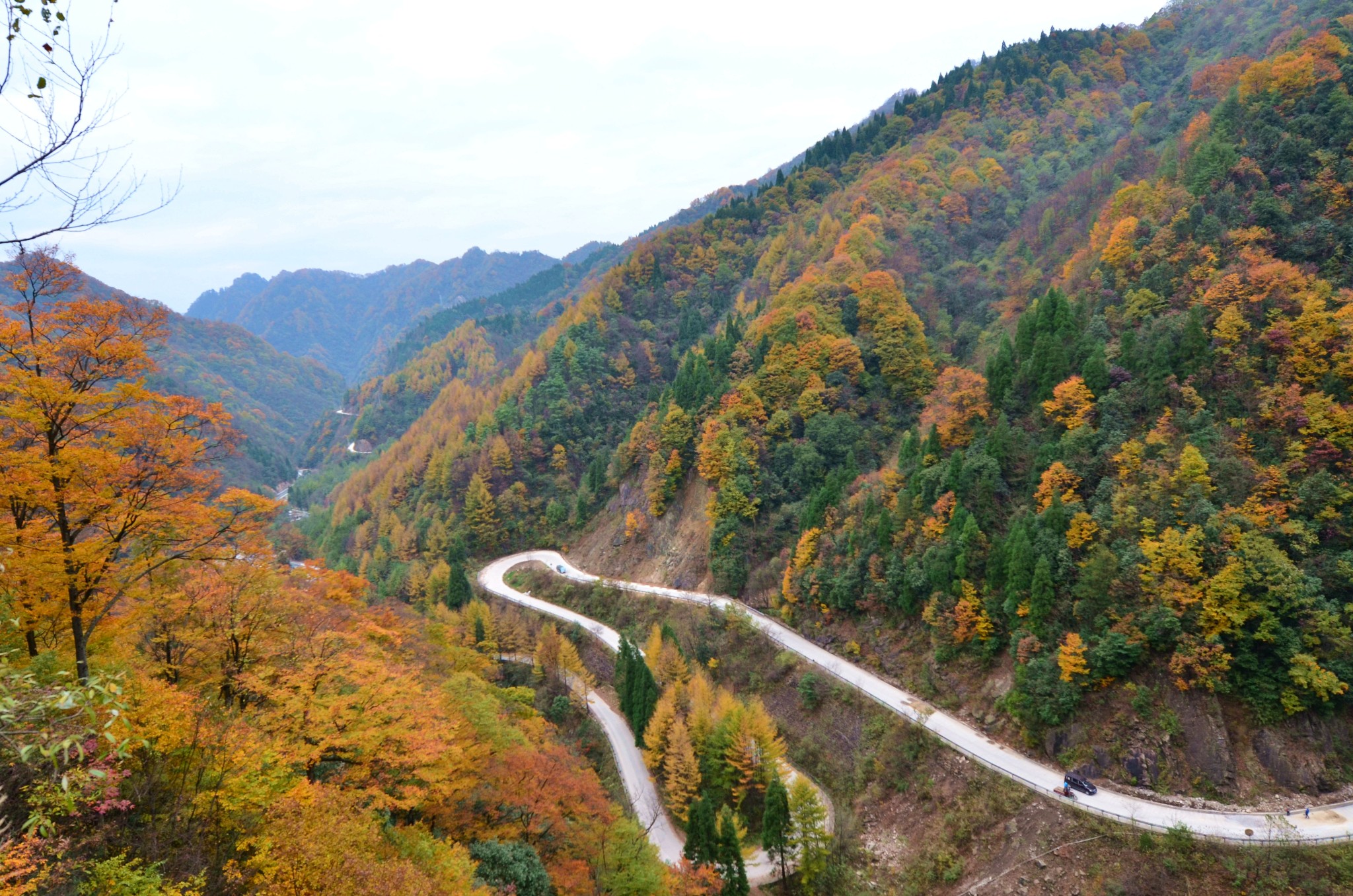光雾山风景区        