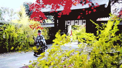 京都| kyoto 但凡所遇,皆成风景,日本旅游攻略 - 马