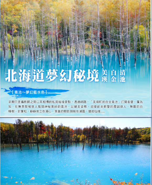 【水晶音乐城】音乐城外观呈欧式建筑风格,店里陈列超过3,000种从