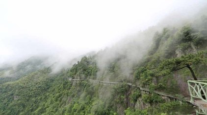 磐安灵江源景区门票