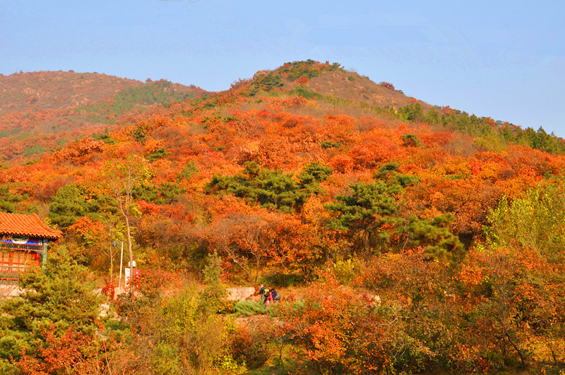 北京看红叶的好地方——蟒山国家森林公园