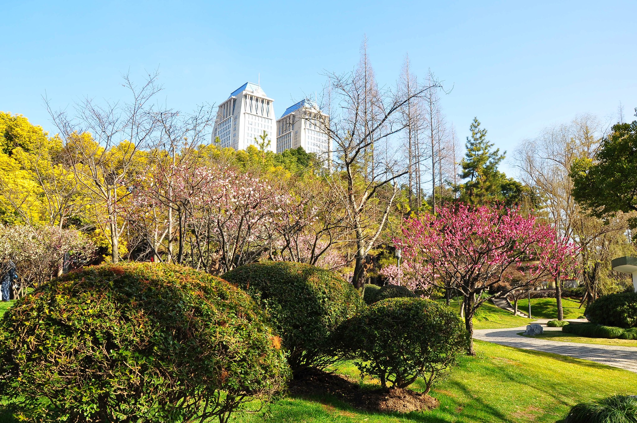 复旦大学