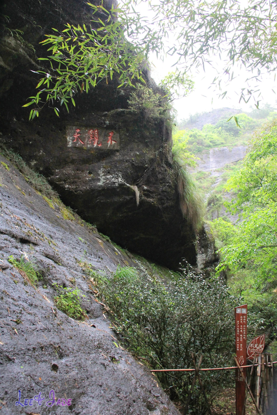 三游福建之武夷山