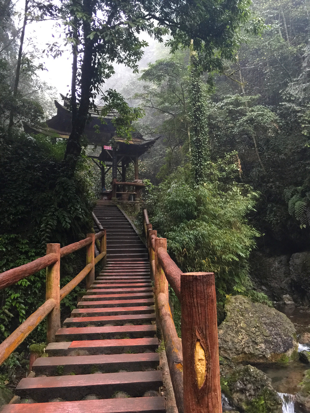 青城山风景区        