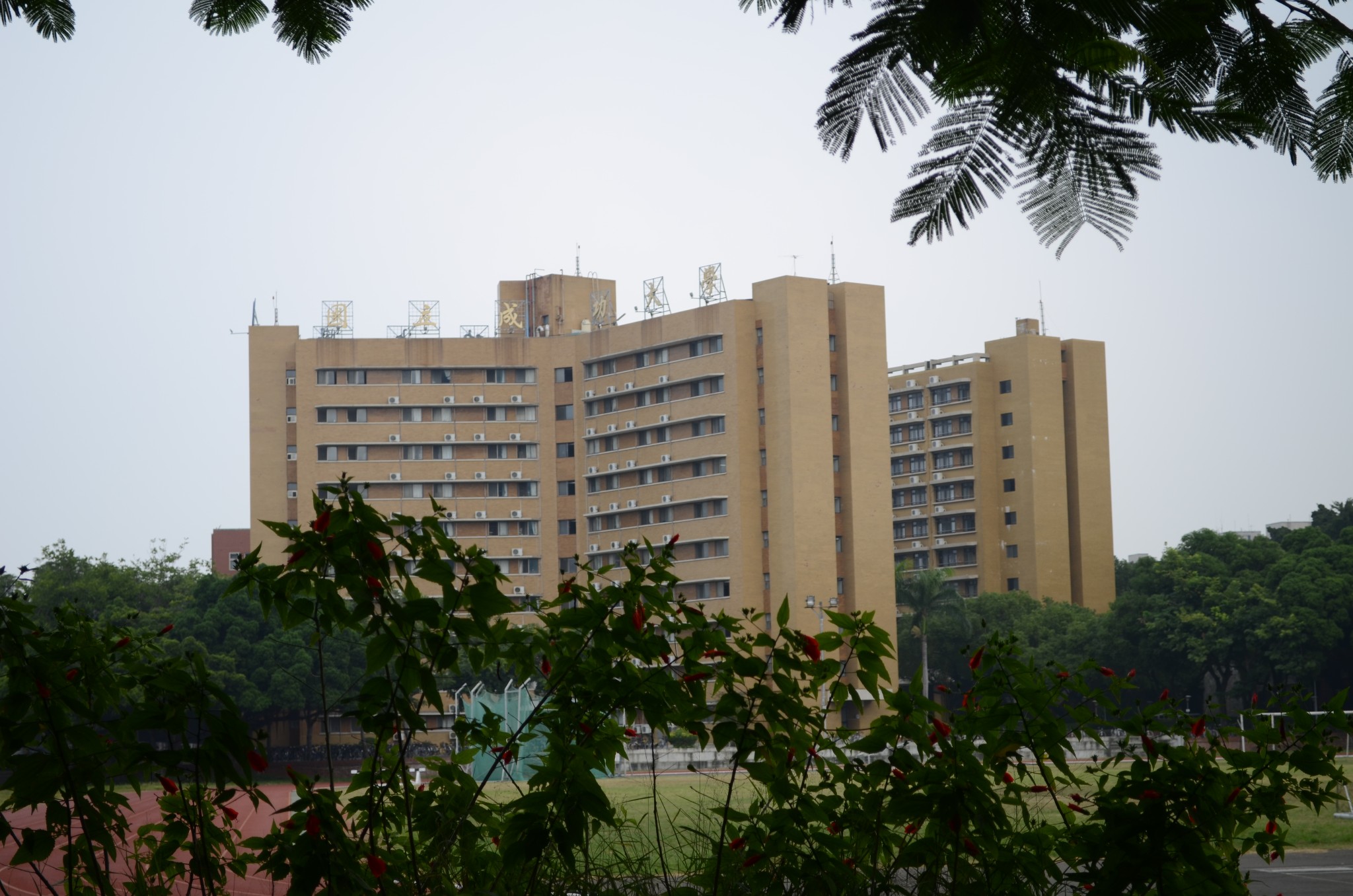 继续宠爱张国荣_继续宠爱 收入