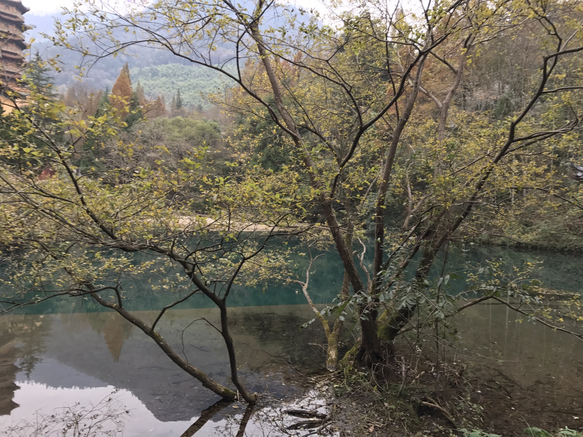 临安指南村