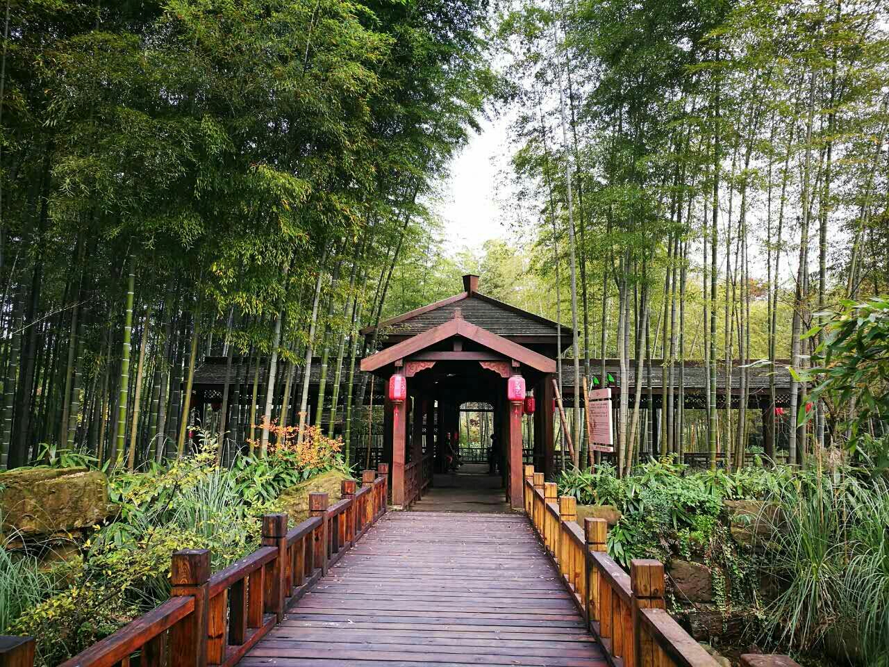宜兴竹海风景区        