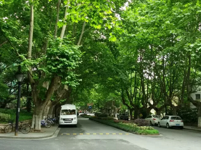 2017杭州旅游攻略,杭州自由行攻略,蚂蜂窝杭州