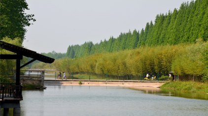 盐城黄海森林公园门票