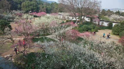 杭州杭州植物园门票