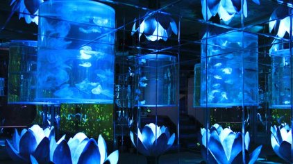 海底观光,科普为一体的现代化海洋生物展览馆