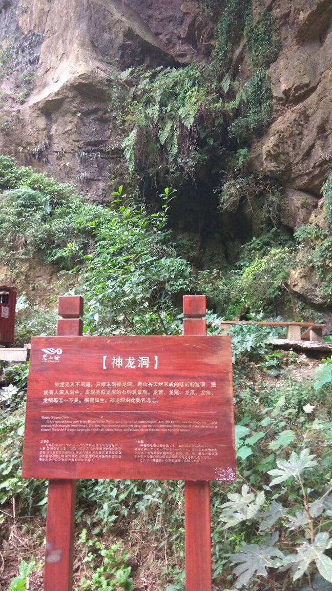 其实从南门进很不错的选择,下山路 神龙洞,不知道与南川区神龙峡的有