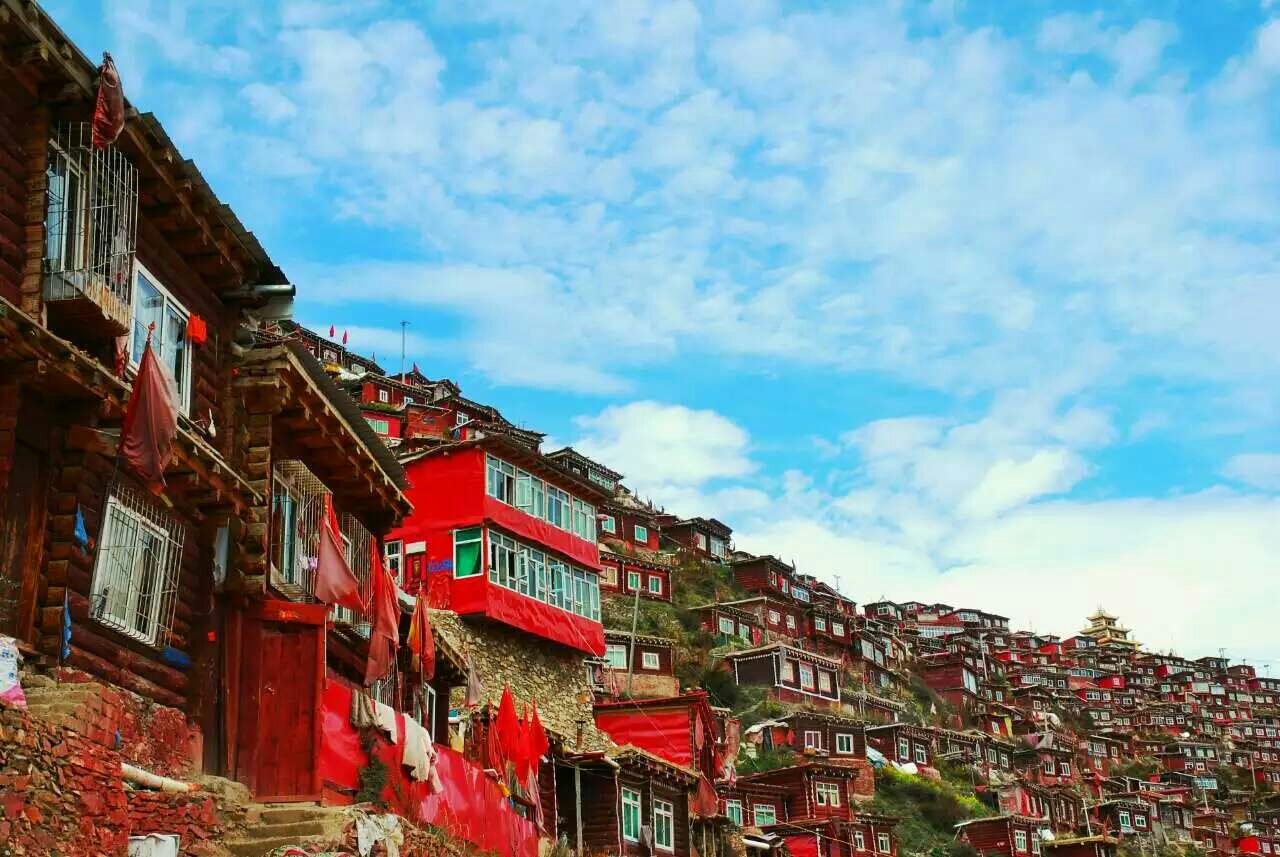 中国国企有多少_中国人均占地多少(2)