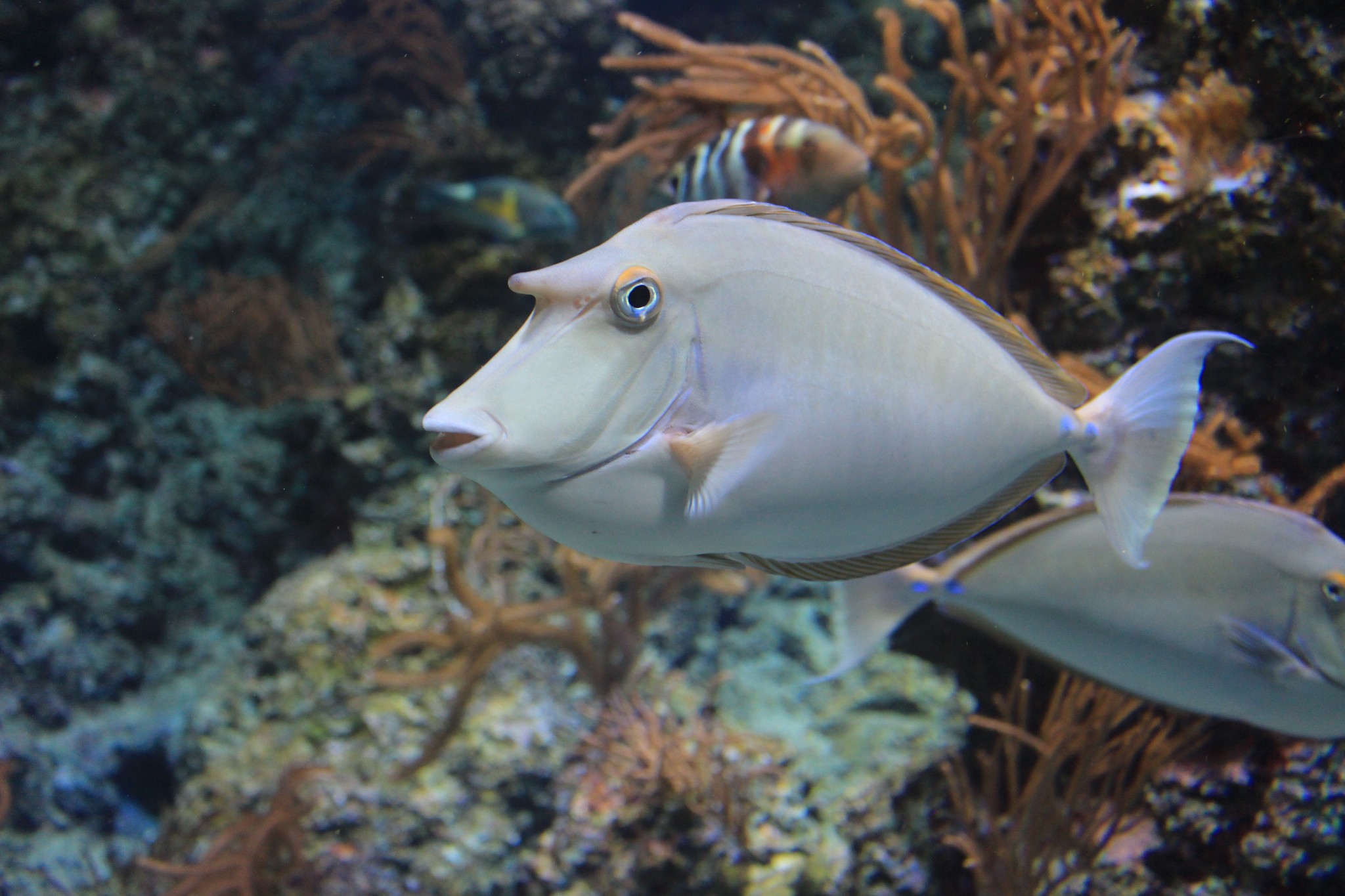 新加坡酒店_新加坡旅游景点_新加坡收入消费