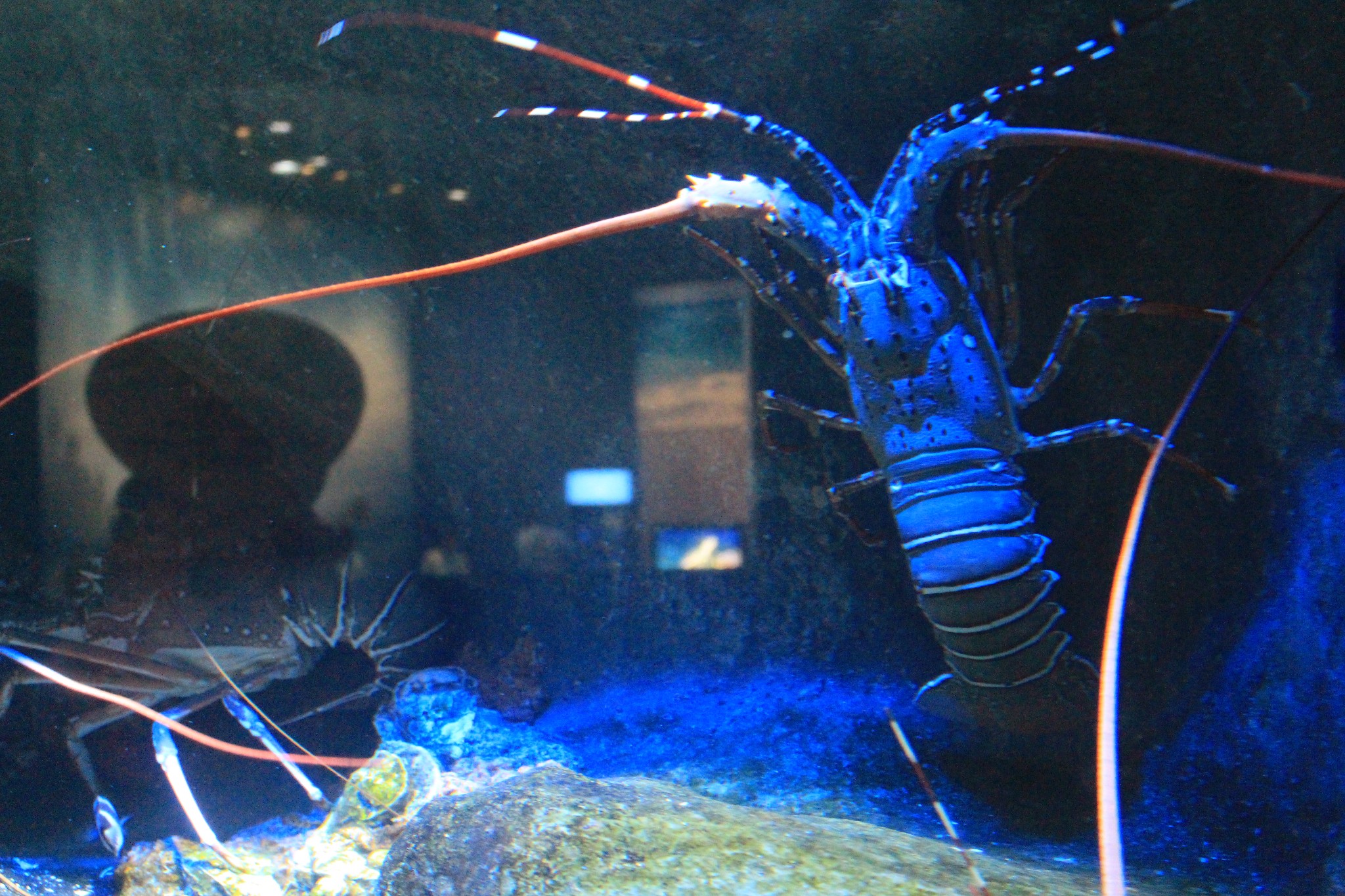 新加坡酒店_新加坡旅游景点_新加坡收入消费(2)