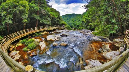 龙岩梁野山门票