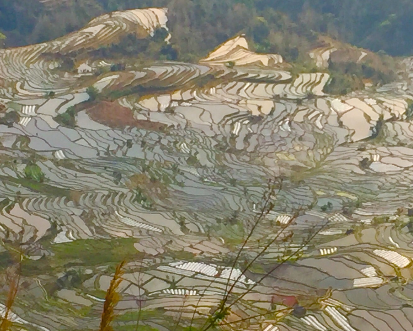 普者黑旅游怎么穿搭_普者黑旅游地图