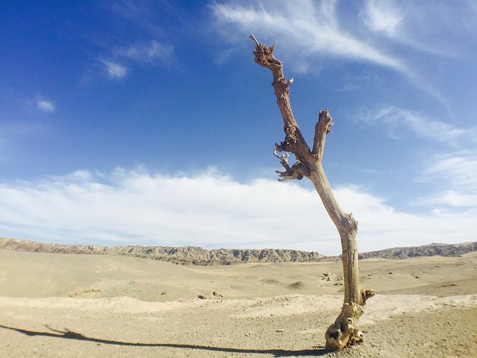 命中注定遇见你简谱_你是我的命中注定(3)
