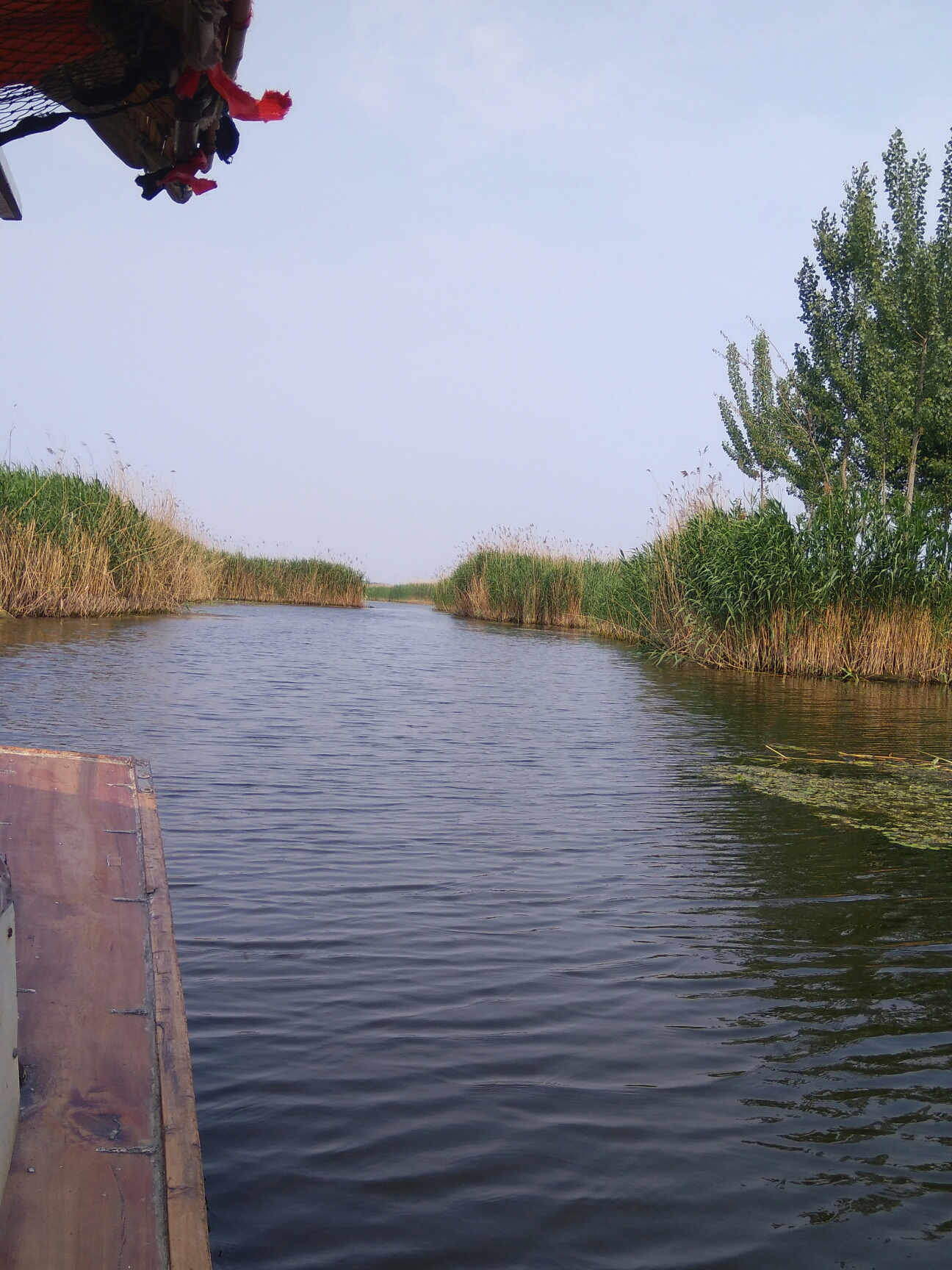 县里GDP高对市里有帮助吗_帮助别人的图片