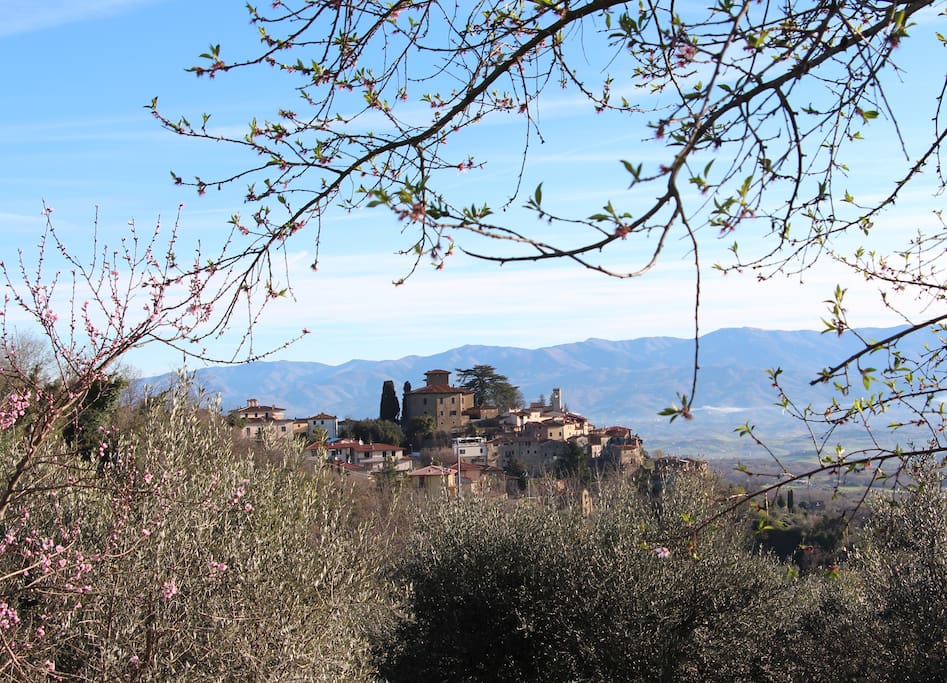 your own fully self-catered tuscan villa