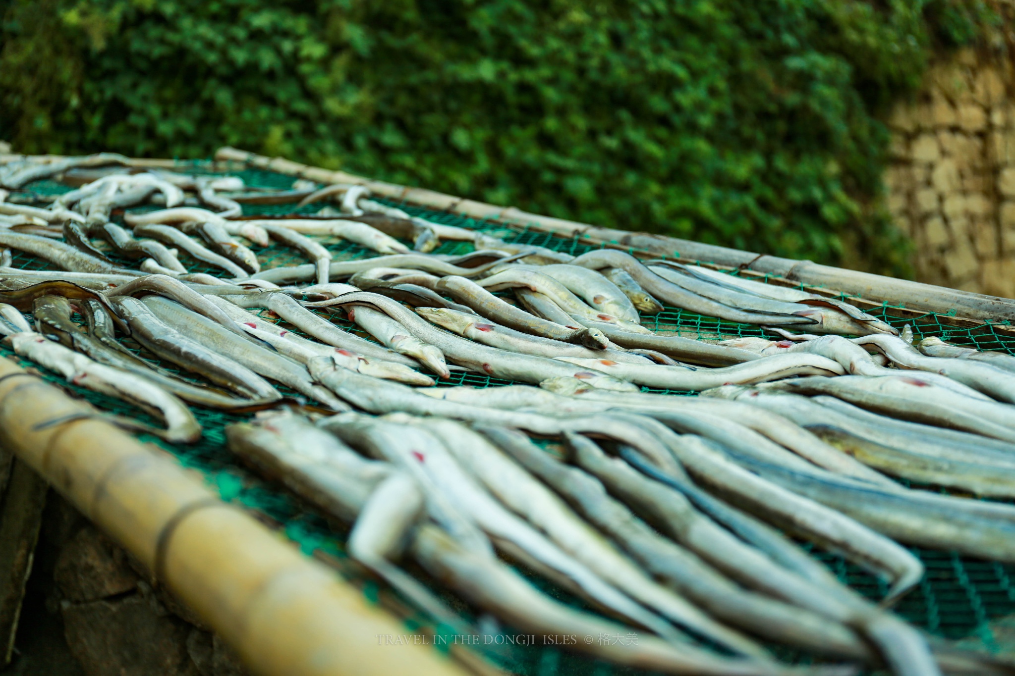 红邮筒人均_红邮筒水彩(2)