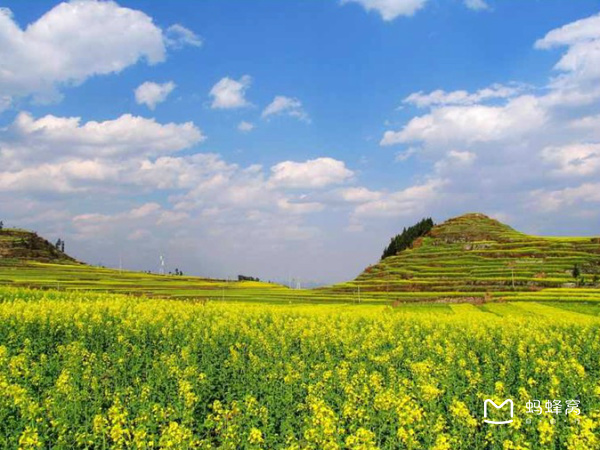 啥时候种油菜最好 wKgB3FEjYciAbtzdAAXqUrWe31M94.jpeg?imageView2%2F2%2Fw%2F600%2Fh%2F2000%7Cwatermark%2F1%2Fimage%2FaHR0cDovL2IyLXEubWFmZW5nd28ubmV0L3M5L00wMC82My84RS93S2dCczFaTmVzV0FZb29JQUFBU2JNMElpRjQyNDEucG5n%2Fgravity%2FSouthEast%2Fdx%2F20%2Fdy%2F20