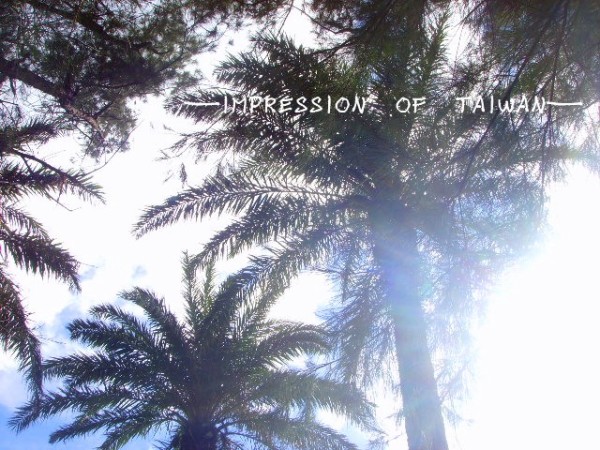 台湾是属于热带吗 wKgB3FIG9LyAUhY0AAIr0srkU9871.jpeg?imageView2%2F2%2Fw%2F600%2Fh%2F600%2Fq%2F90