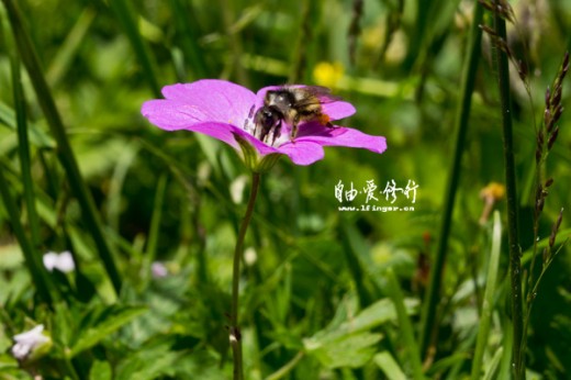wKgB21AX_NCGFNDCAAC8QPmgn8s70.jpeg?imageView2%2F2%2Fw%2F680%2Fq%2F90