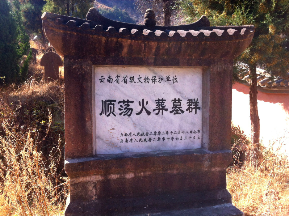 滇西人口数_人口普查(2)