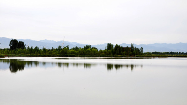 野鸭湖游玩攻略,野鸭湖游玩攻略一日游