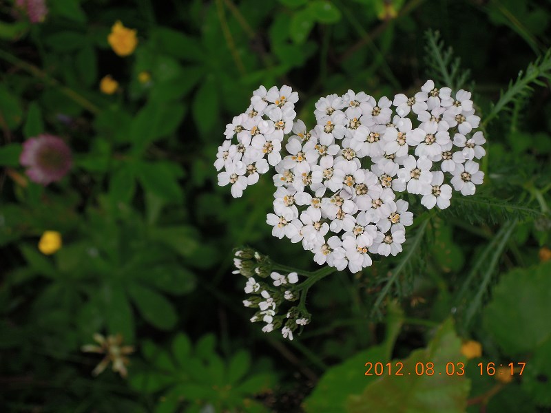 wKgB4lKzjFeAHTH3AAFtIdoqT6k97.jpeg?imageView2%2F2%2Fw%2F600%2Fh%2F600%2Fq%2F90