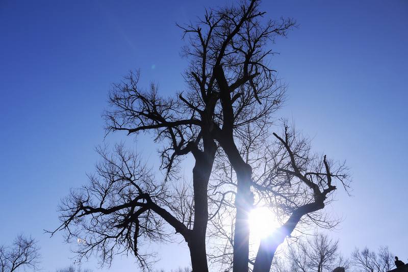 wKgB4lL3azOAI4HEAAEWorwem1Q29.jpeg?imageView2%2F2%2Fw%2F600%2Fh%2F600%2Fq%2F90