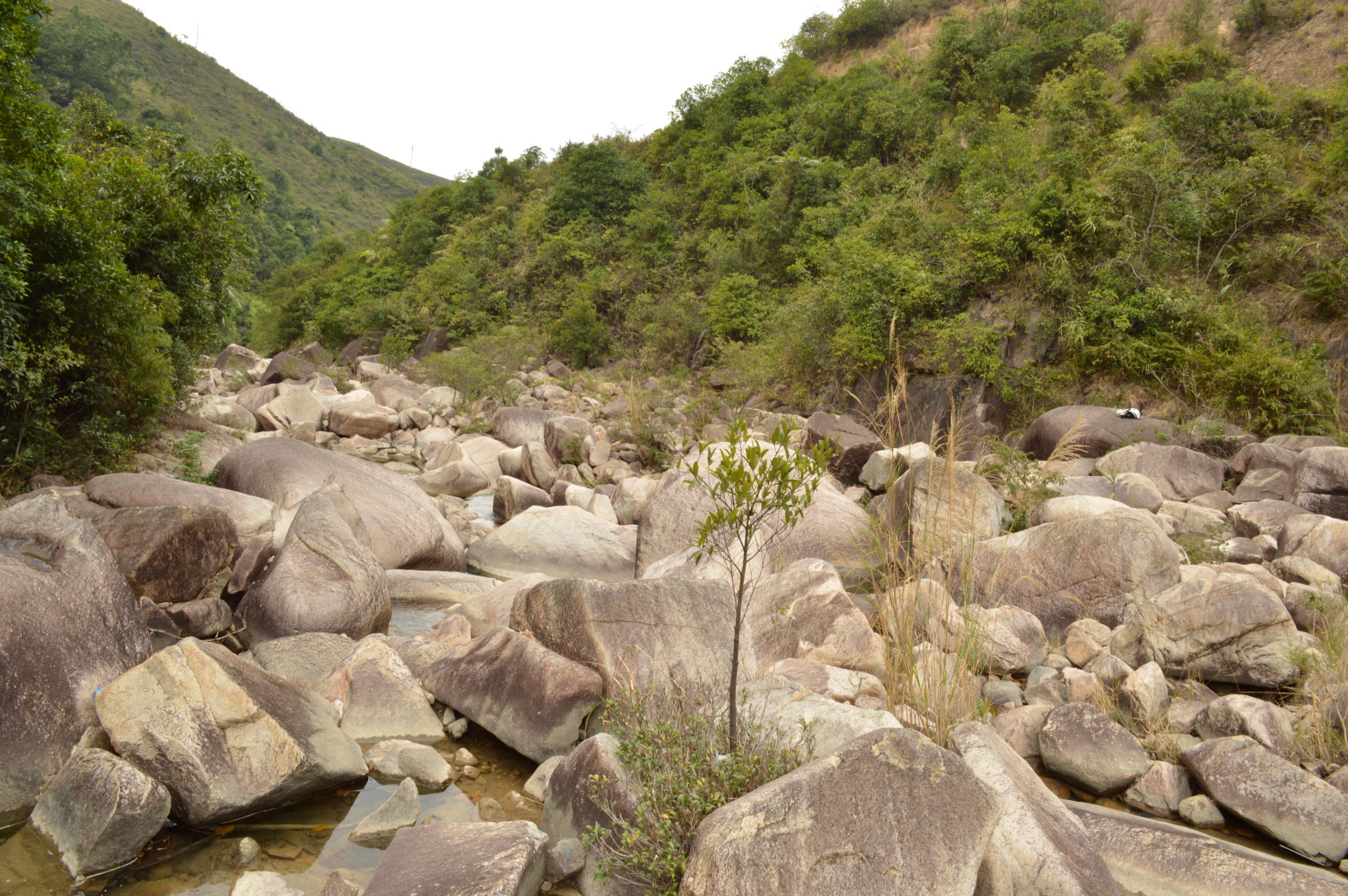 家乡的水——大石河