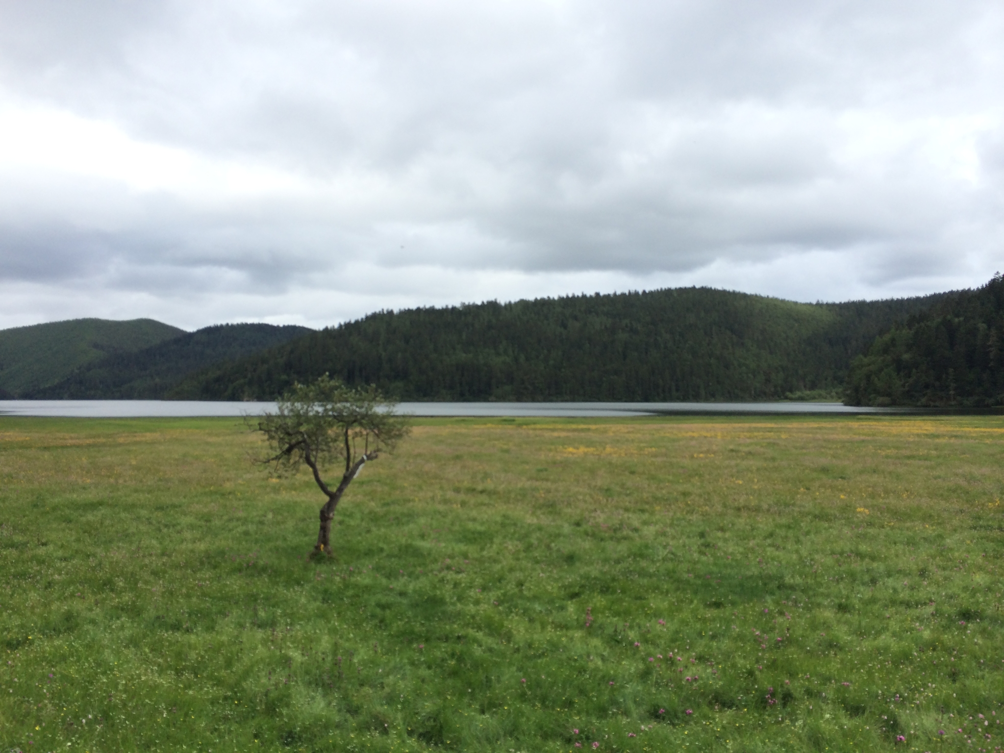 wKgB6lPyGrGANCelABc6j577s6I34.jpeg?imageView2%2F2%2Fw%2F600%2Fq%2F90