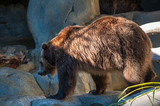 wKgBpVXAOLaAUlOIAATAcn_vOWg57.jpeg?imageView2%2F2%2Fw%2F600%2Fq%2F90