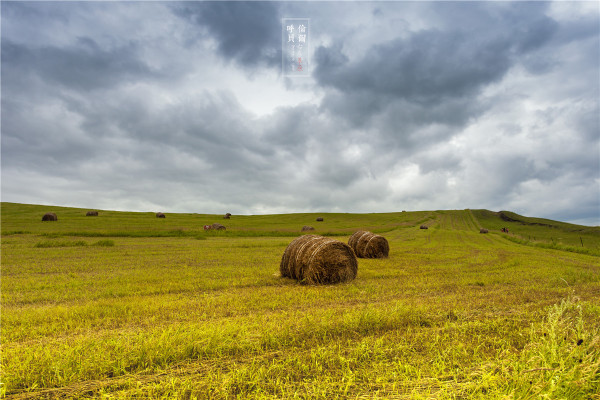 额尔古纳河右岸全文txt下载 wKgBpVXVftqAFMyeAAYMnvdYVyY37.jpeg?imageView2%2F2%2Fw%2F600%2Fh%2F600%2Fq%2F90