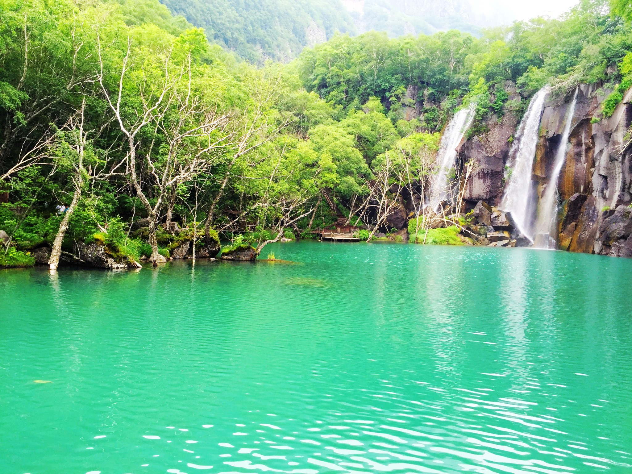 什么浆玉液成语_封坛原浆琼浆玉液(3)