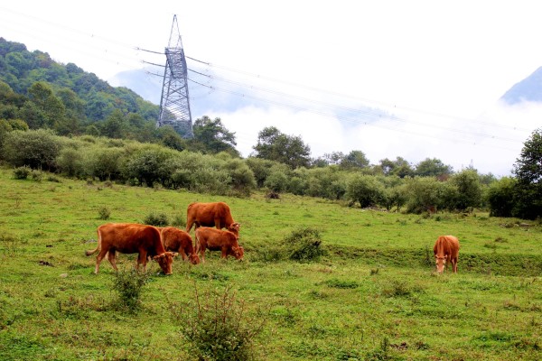 过年玩的地方适合自驾游 wKgBs1fKzFyAdgy1ABBEMhv2b3k58.jpeg?imageView2%2F2%2Fw%2F600%2Fh%2F600%2Fq%2F90