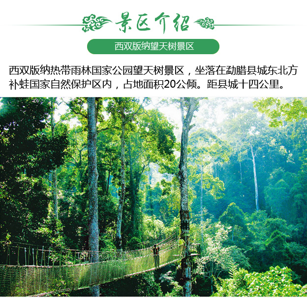 西双版纳望天树景区门票 套票 景区直通车(暑期特惠 · 多种游玩套餐