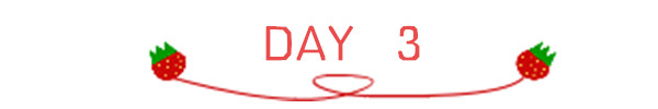DAY 3 DAY 3