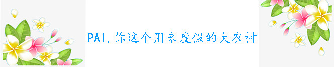 D3:pai,你这个用来度假的大农村 D3:pai,你这个用来度假的大农村