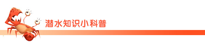 潜水知识小科普 潜水知识小科普