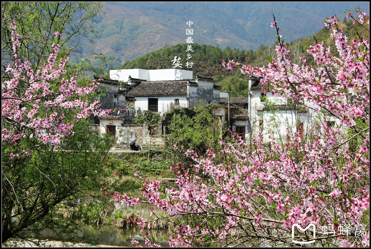 婺源人口结构_婺源油菜花图片(2)