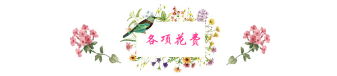 各项花费 各项花费